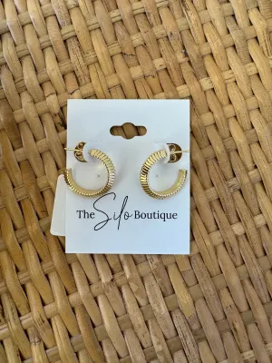 Gold Medium Coil Earrings