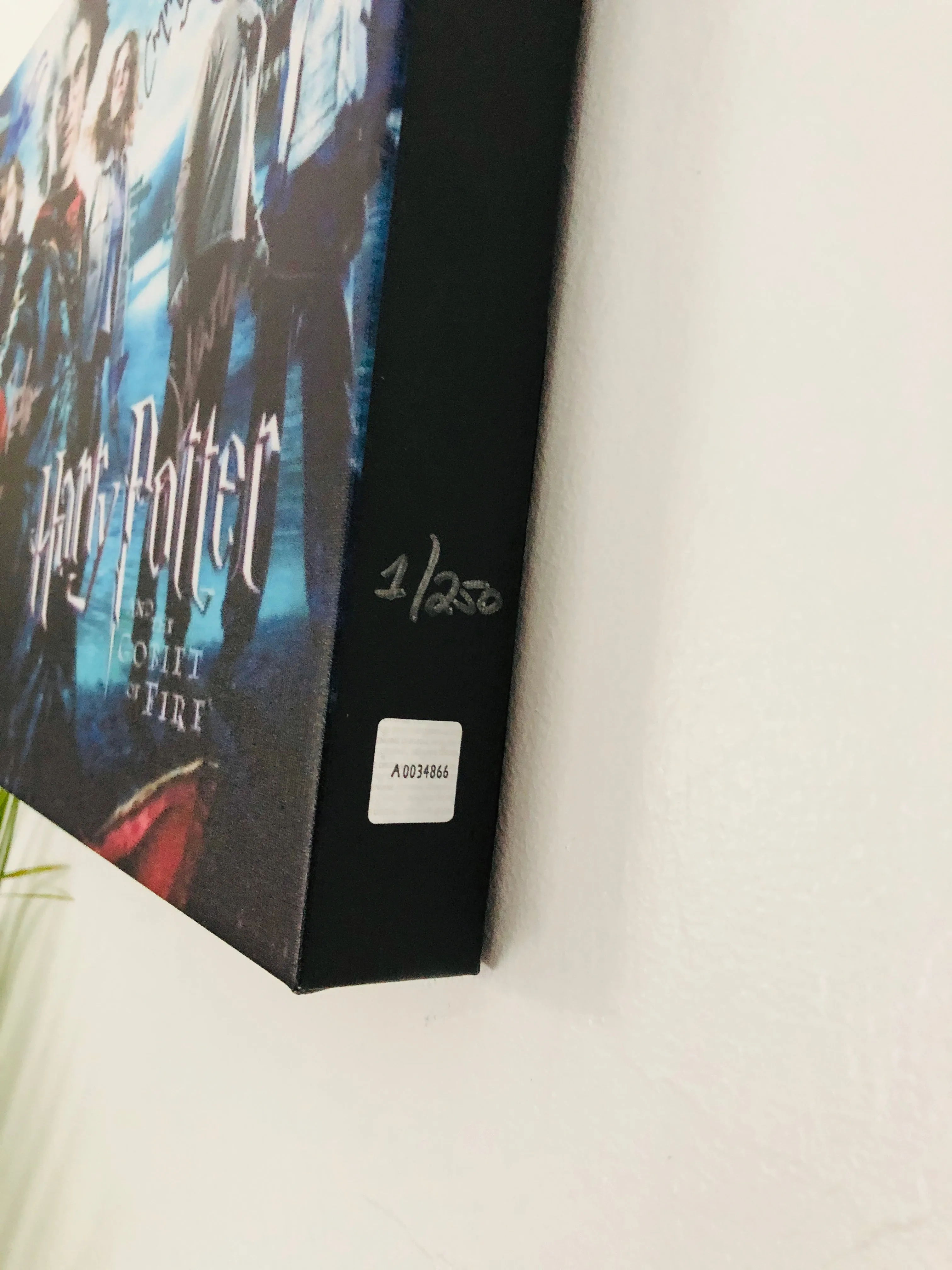 Harry Potter Cast Facsimile Autograph 11x14 Canvas Print Wall Art