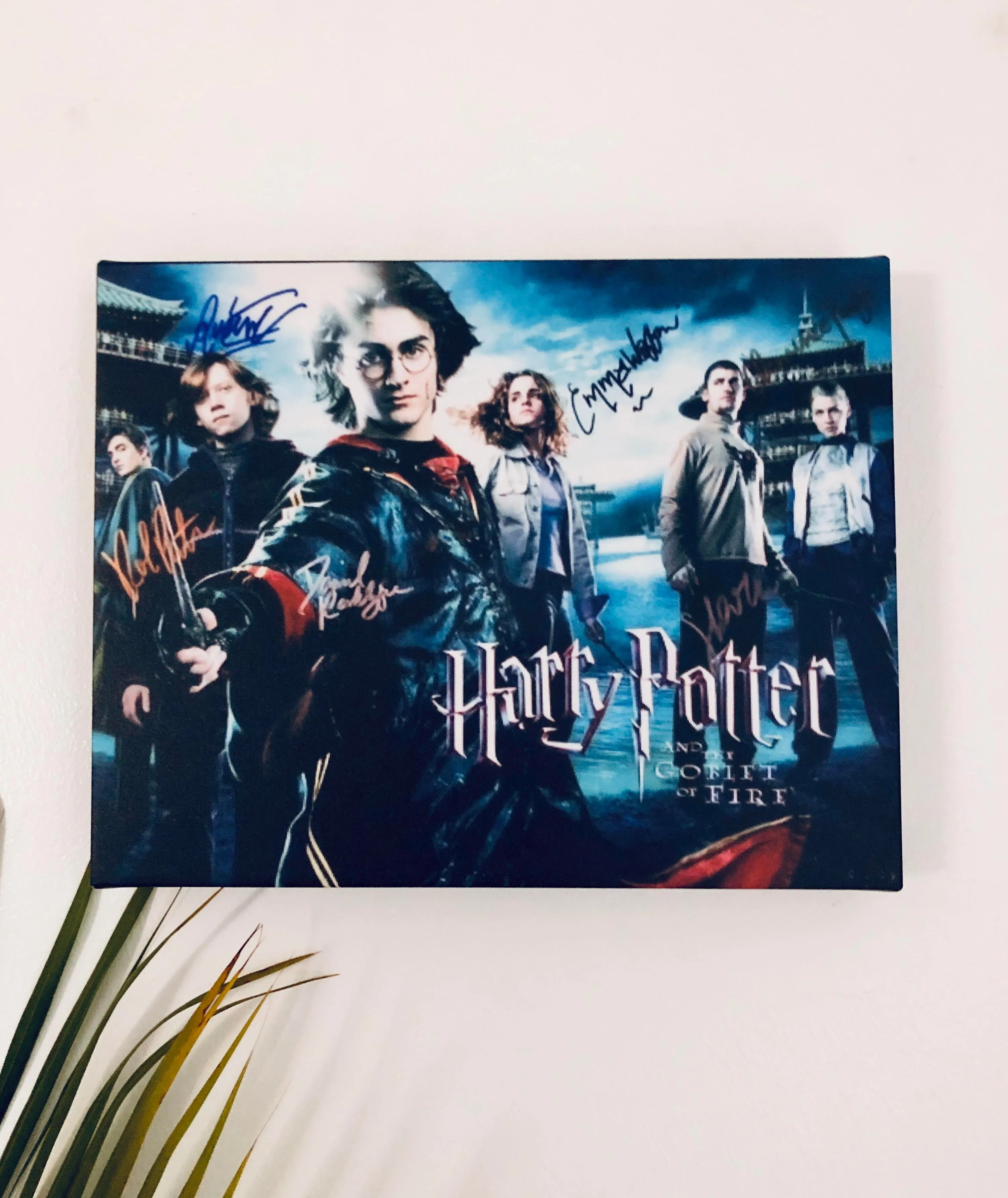 Harry Potter Cast Facsimile Autograph 11x14 Canvas Print Wall Art